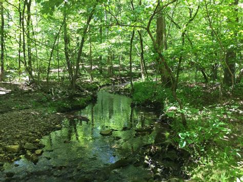 Thanksgiving Inside Hot Springs Village Arkansas