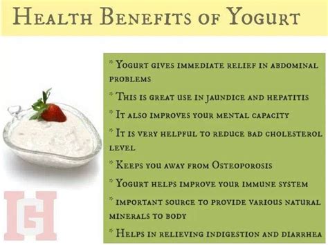 Greek Yogurt: Benefits Of Eating Greek Yogurt