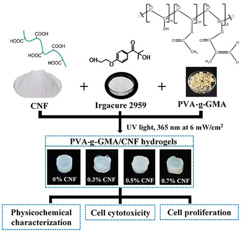 Polymers Free Full Text Development Of Polyvinyl Alcohol Grafted