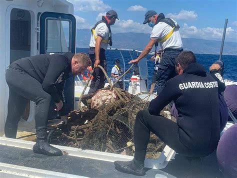 Operazione Contro La Pesca Illegale Sequestri E Sanzioni Anche In