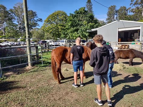 Healing Hooves Indie School Logan Indie School