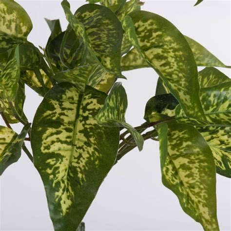 Ebern Designs Fabric Dieffenbachia Stems Bushes And Sprays Arrangement Wayfair