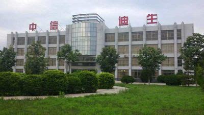 China ShanDong ZhongXin Dison Power Supply Co Ltd Company Profile