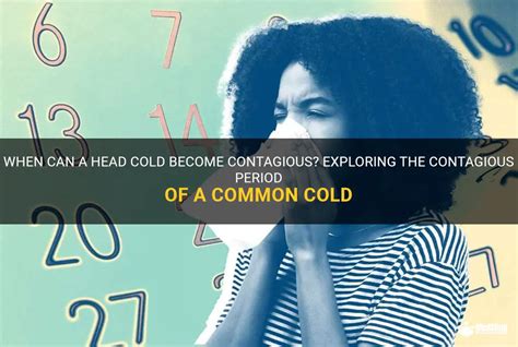 When Can A Head Cold Become Contagious? Exploring The Contagious Period ...