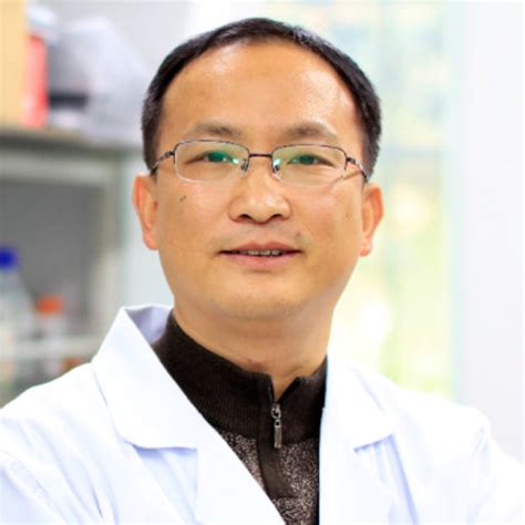 Wenbing Zhang Professor Phd Ocean University Of China Qingdao