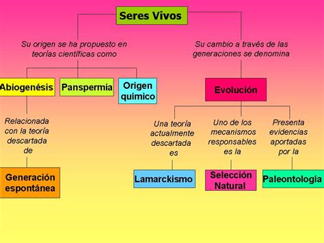 Evoluci N De Los Seres Vivos Mayo