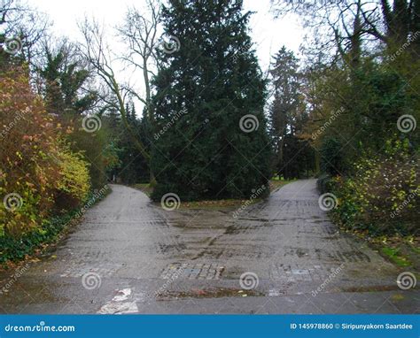 Public Park in Center Luxembourg , Europe Stock Photo - Image of view, outdoor: 145978860