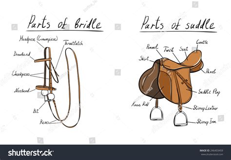 4,681 Saddle Parts Images, Stock Photos & Vectors | Shutterstock