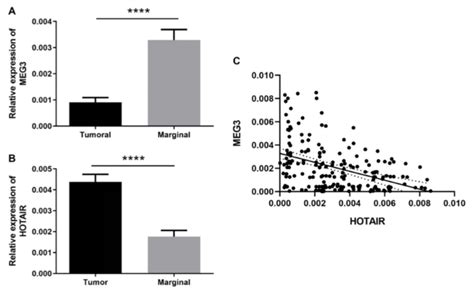 Figure 1 Image Eurekalert Science News Releases