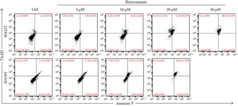 Heteronemin Induces Cell Apoptosis Via The Caspase Cascade A HA22T