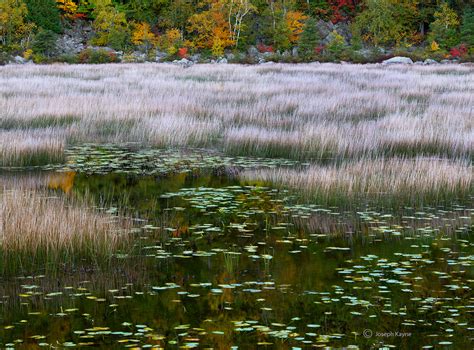 Glacial Tarn | Maine | Joseph Kayne Photography