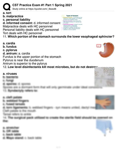 Solution Cst Practice Exam Part Spring Studypool