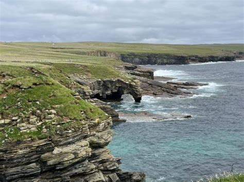 2023 Best 10 Wildlife Trails in Orkney Islands | AllTrails