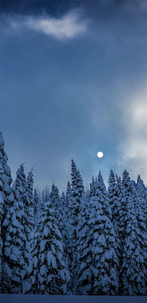 Winter Vibes Wallpapers - Top Free Winter Vibes Backgrounds