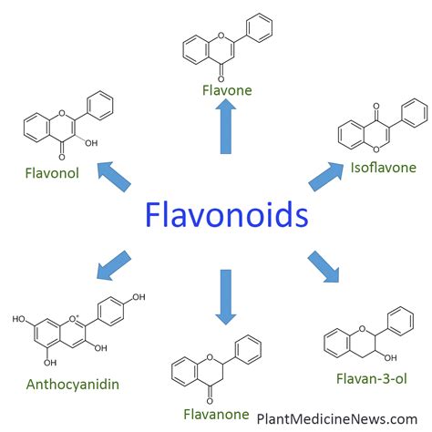 Example Of Flavonoids In Plants At Joseph Bryant Blog