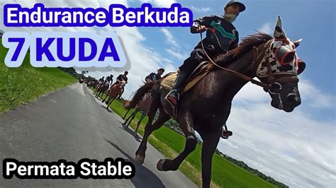 Endurance Berkuda Dengan 7 Kuda Permata Stable YouTube