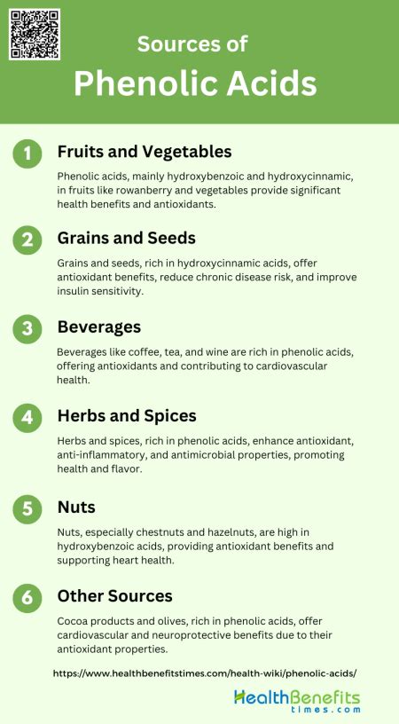 Sources of Phenolic Acids | Health Benefits