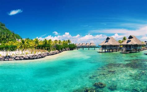 Cayo Ambergris In Belize