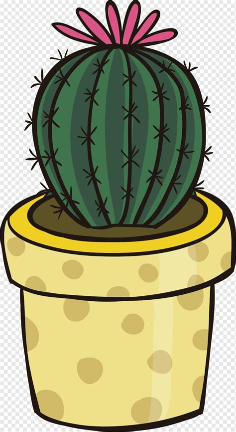 Cactus Plant Cactaceae Cactus Botany Food Hand Png Pngwing