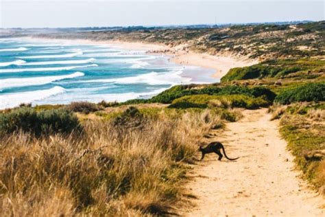 Phillip Island Beaches And Walks Bunya By The Sea