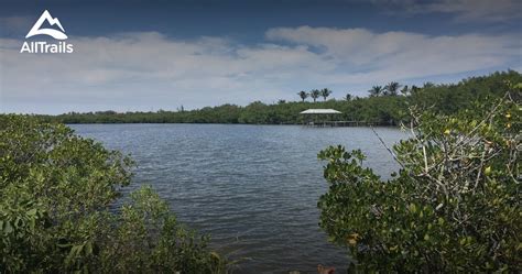 Best Hikes And Trails In Pelican Island Wilderness Alltrails