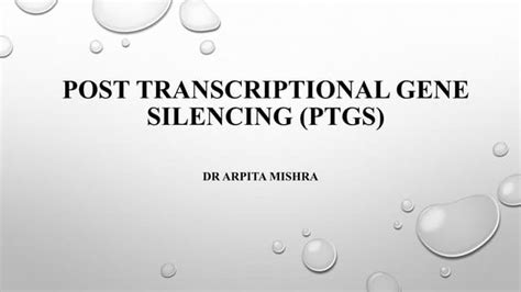 Post Transcriptional Gene Silencing An Introduction Pptx