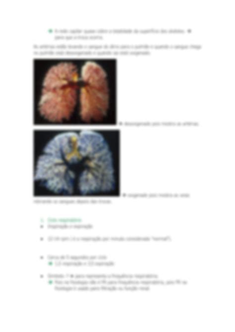 Solution Fisiologia Respirat Ria Studypool