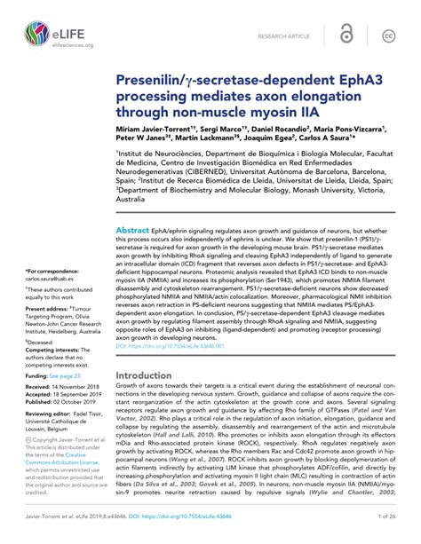 Pdf Presenilin Secretase Dependent Epha Processing Mediates Axon