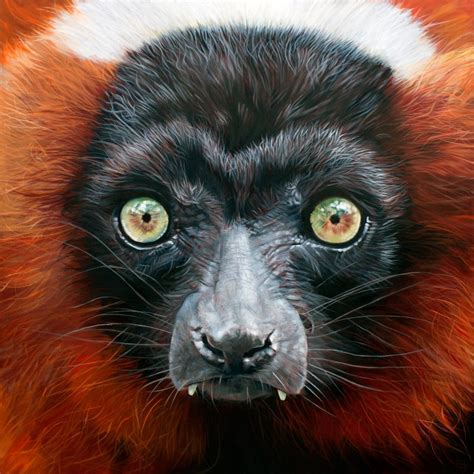 Red Ruffed Lemur - Nayartist