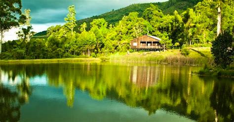 Log Cabin 1 @ Magoebaskloof Getaway | TravelGround