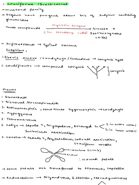 Morphology Families Notes Pdf