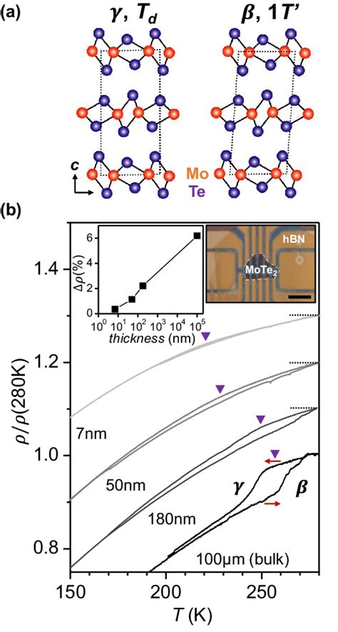 a Structure of orthorhombic γ or T d and monoclinic β or 1T