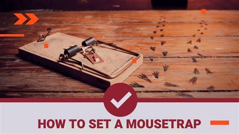 How To Set A Mouse Trap And Where To Put Mouse Traps Easy Ways