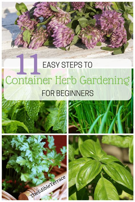 Easy 11 Steps To Container Herb Gardening For Beginners