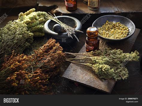 Herbalist Herbal Image And Photo Free Trial Bigstock