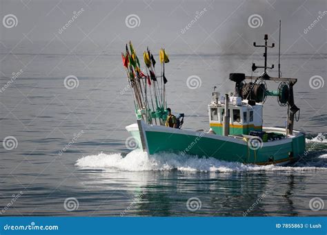 white  green fishing boat stock image image  business