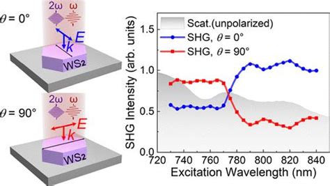 Anisotropically Enhanced Second Harmonic Generation In A WS2