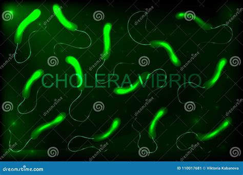 Vibrio Bacteria Classification Spiral Shapes Of Bacteria Morphology