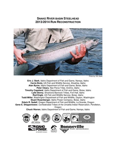 Pdf Snake River Basin Steelhead 2013 2014 Run Reconstruction