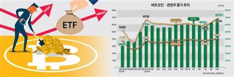 뉴스플러스 비트코인 28개월 만에 5만 달러 돌파관련株도 덩달아 강세 네이트 뉴스