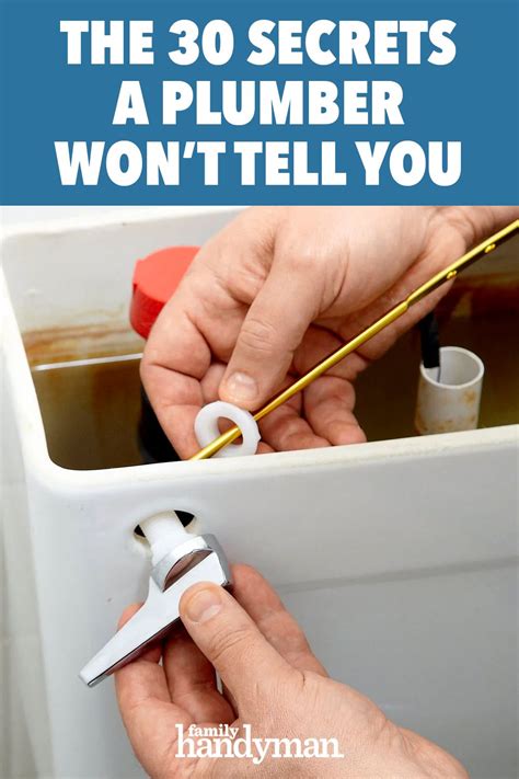 The 29 Secrets A Plumber Wont Tell You Diy Plumbing Diy Handyman