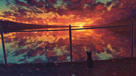 Original Hd Water Cat Sunset Hd Wallpaper Rare Gallery