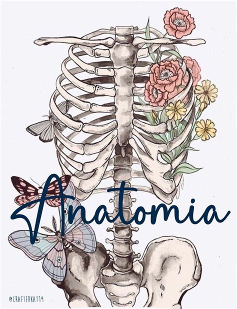 An Image Of A Skeleton And Flowers With The Words Anatonia Written In Blue