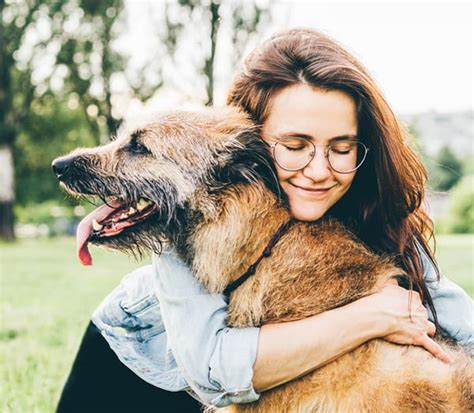 Implicaciones De La Llegada De Un Perro A Tu Vida Conociendo A Mi Perro