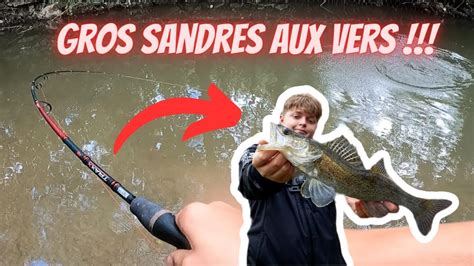 On PECHE Pleins De GROS SANDRES Aux VERS YouTube