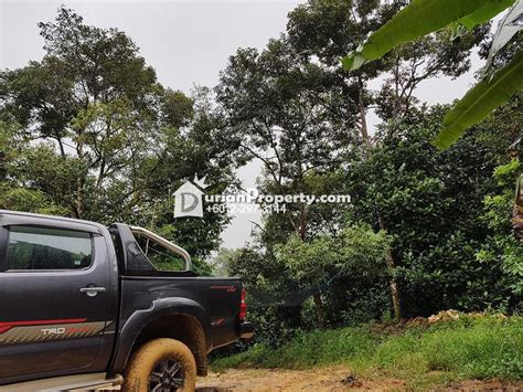 Agriculture Land For Sale At Raub