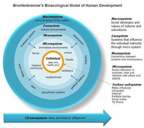 6 Shaping Influenceshuman Development Drewlichtenberger Human