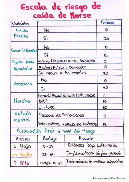 Escala De Riesgo De Caidas Morse Nursemaniapuntes Udocz