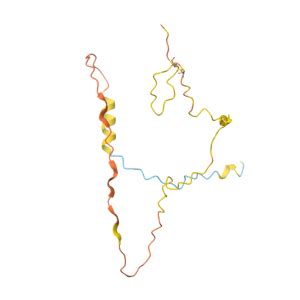 CYSRT1 Gene GeneCards CRTP1 Protein CRTP1 Antibody