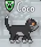 Coco/Wildwood Story | Cattails Game Wiki | Fandom